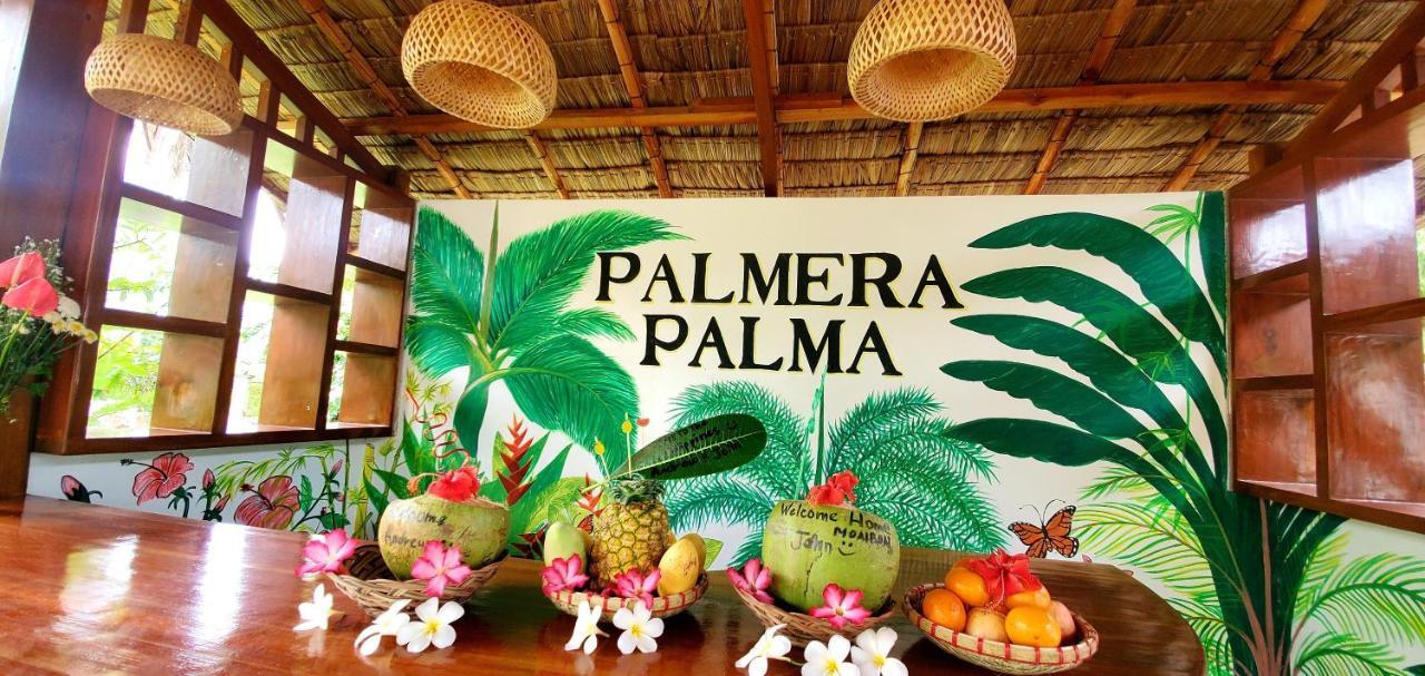 Palmera Palma Top Floor Moalboal Kültér fotó