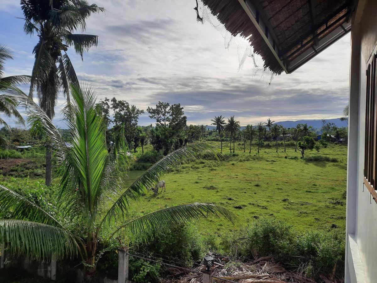Palmera Palma Top Floor Moalboal Kültér fotó